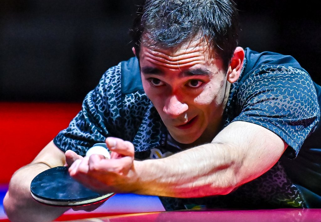 福克斯与小 福克斯与小