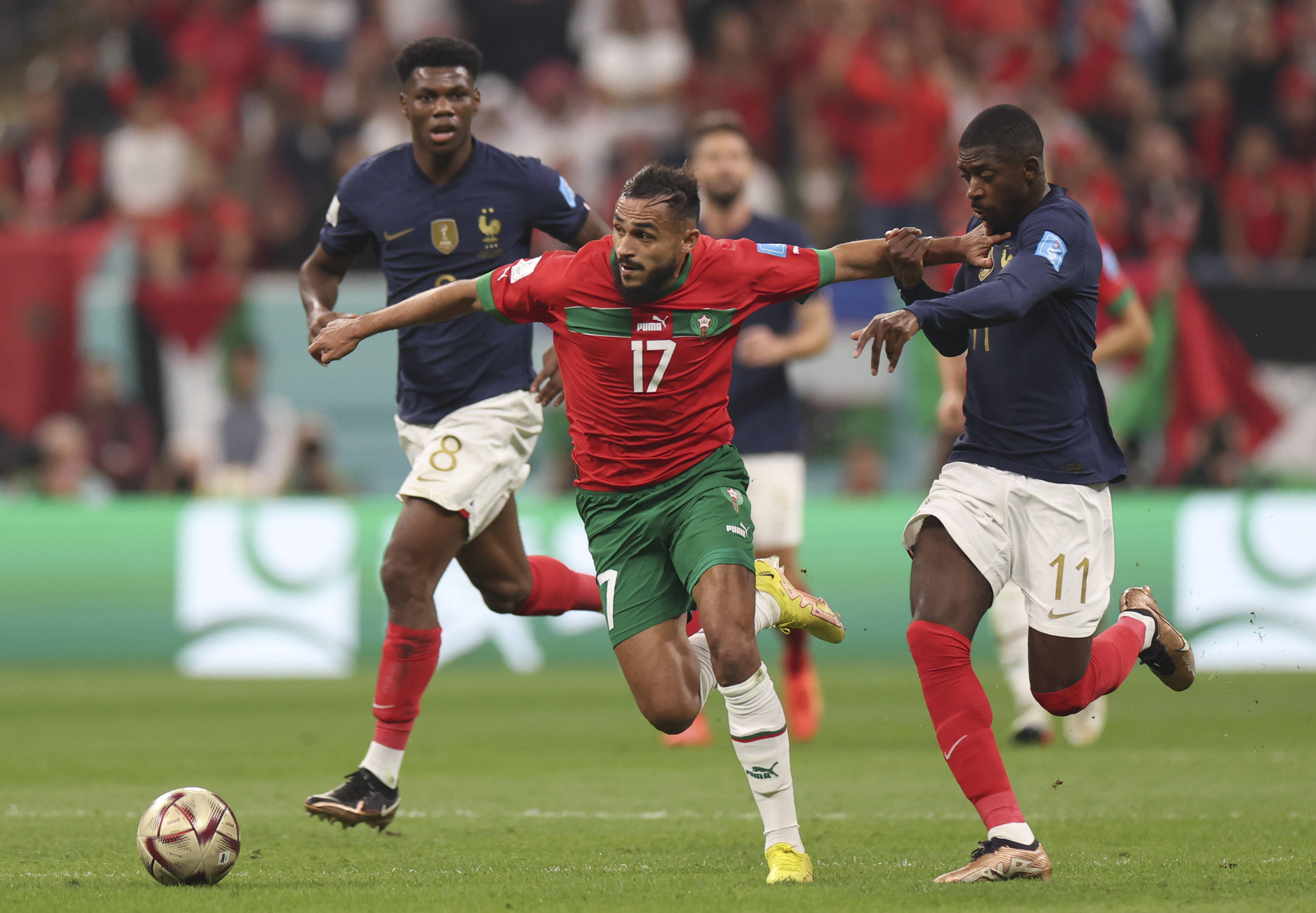 斯排名世界 斯排名世界